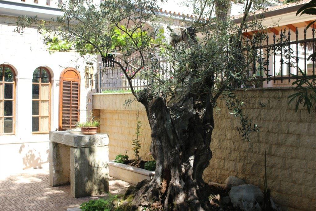 Apartment Maras Poreč Oda fotoğraf